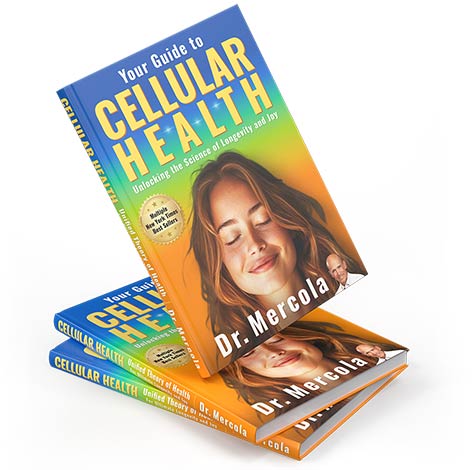 your guide to cellular health