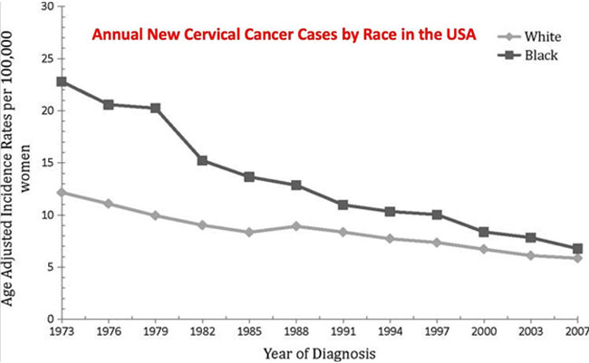 cervical cancer cases