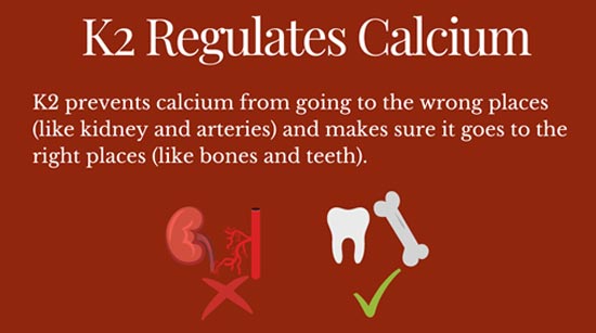 k2 regulates calcium